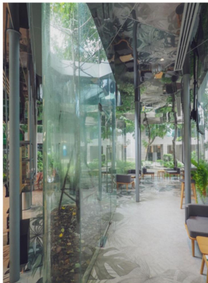 Café Amazon — Revenue Department — view 2