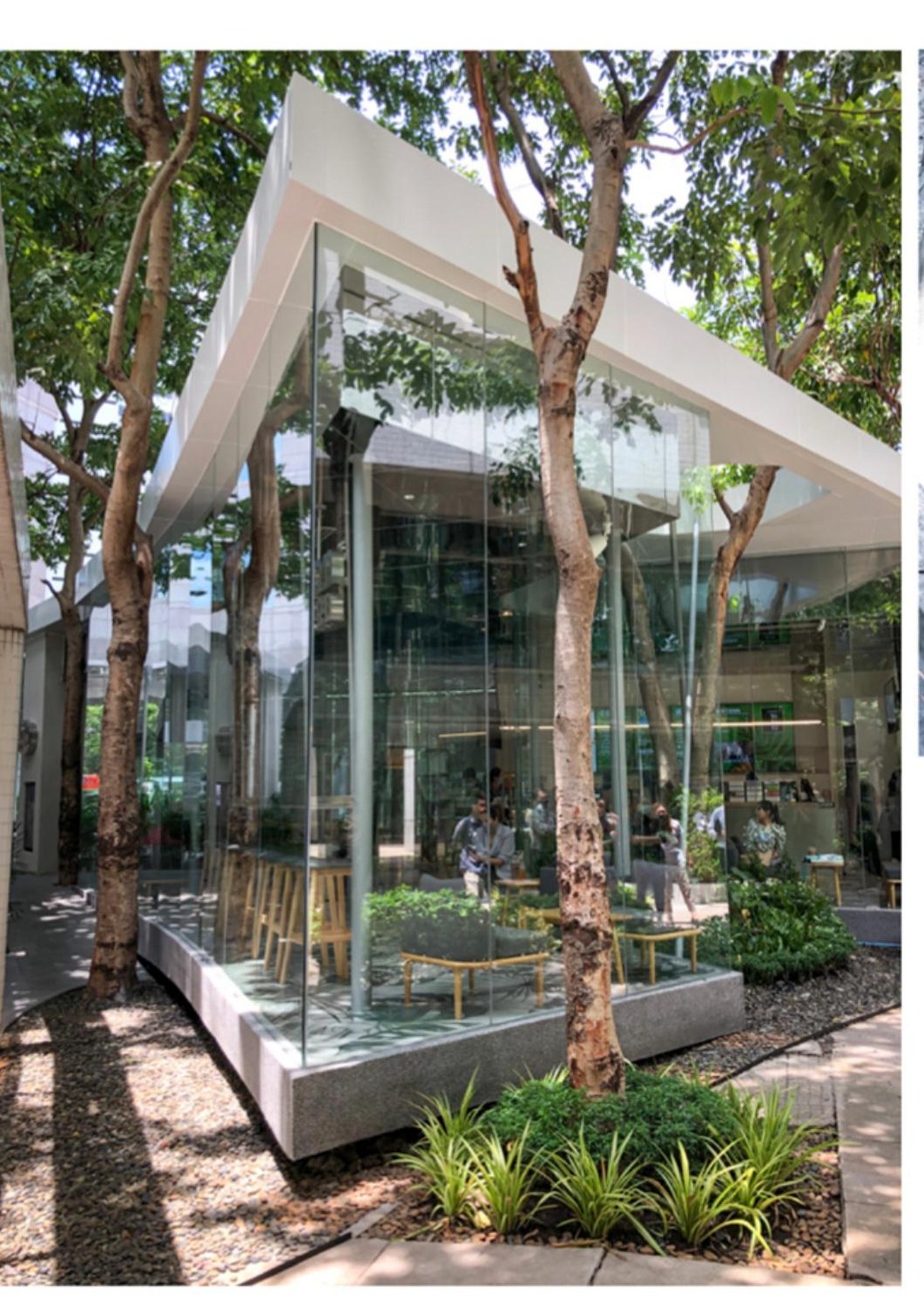 Café Amazon — Revenue Department — Revenue Department, Thailand